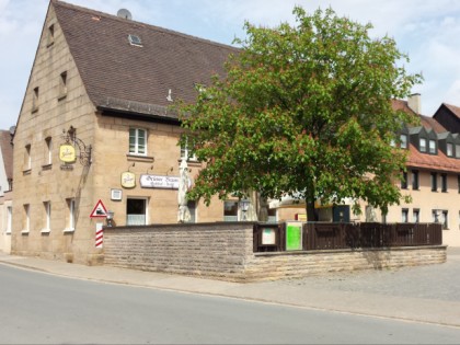 Foto: &quot;Grüner Baum&quot;